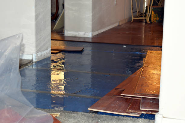Professional Structural Drying technician working in Minden City, MI