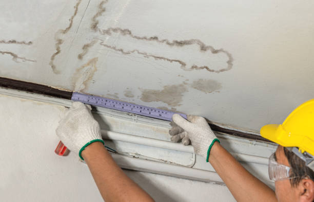Reliable Structural Drying contractor in Minden City, MI by Water Damage Irwin
